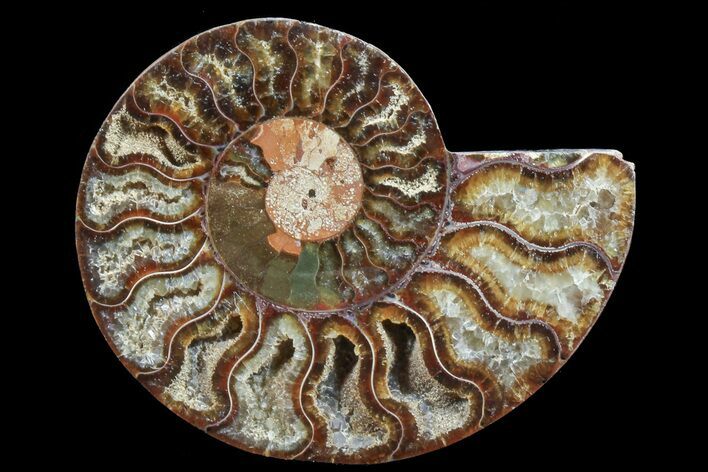 Agatized Ammonite Fossil (Half) #78403